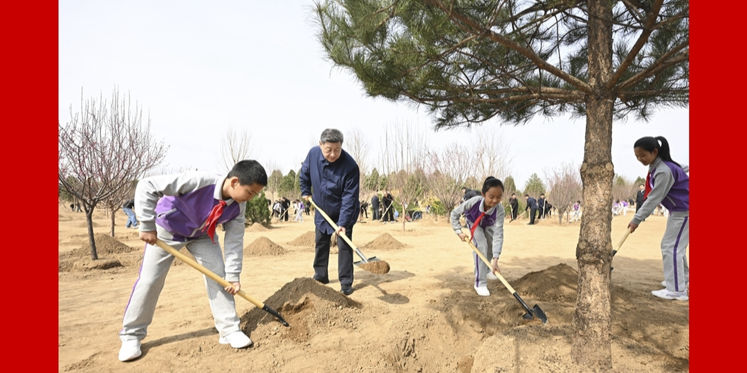 党和国家领导人参加首都义务植树活动