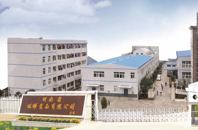向新的老字号①｜飞旺辣条：一根辣条的“新质”跃迁