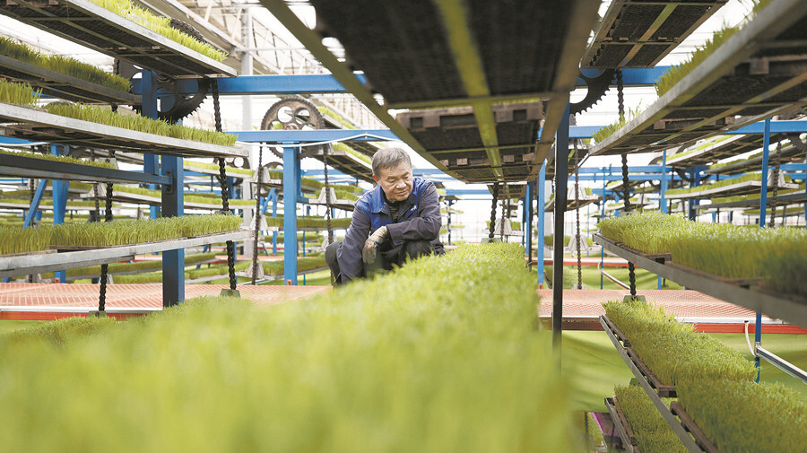 智能育秧助春耕