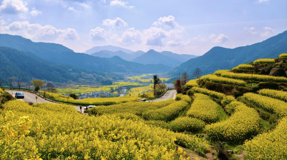 春日經(jīng)濟(jì)新圖景｜這份原生態(tài)，守住了春天最硬核的美！