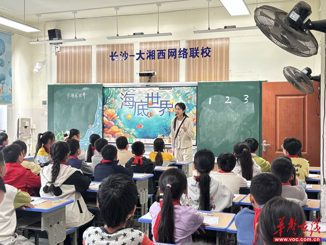 辰溪县黄溪口片区2026年小学语文素养大赛圆满落幕