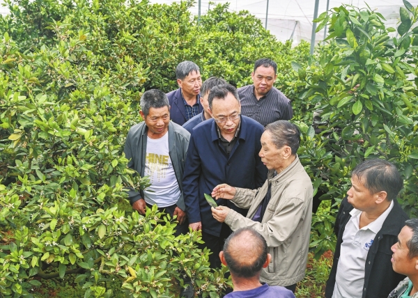 田间开课堂 技术送上门
