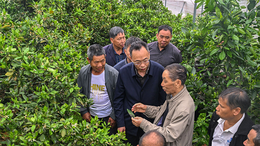 田间开课堂 技术送上门