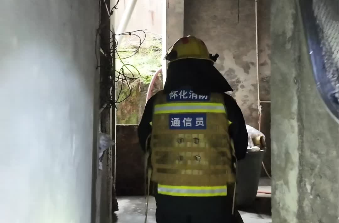 “狐尼克”迷路闯入居民家中，消防到场轻松收服