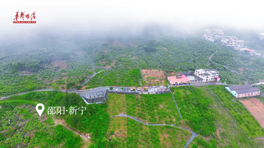 云雾看新宁，“醉美橙道”宛若仙境