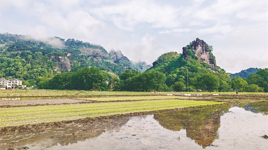 崀山脚下农事忙