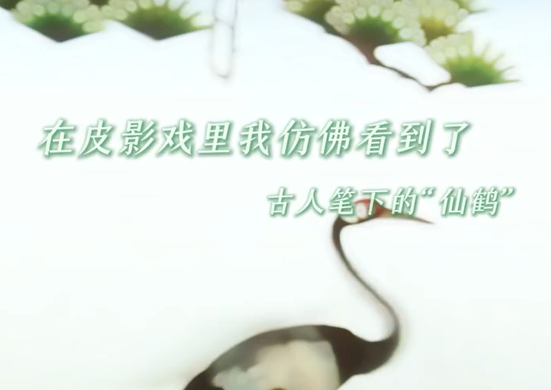视频｜皮影戏的风还是吹到了丹顶鹤