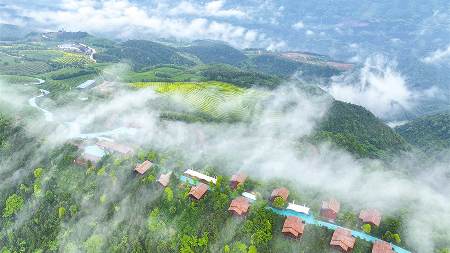 茶旅融合 生态赋能