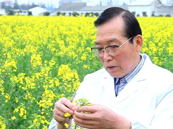 【湖湘有种】菜籽出湖湘 油香溢九州