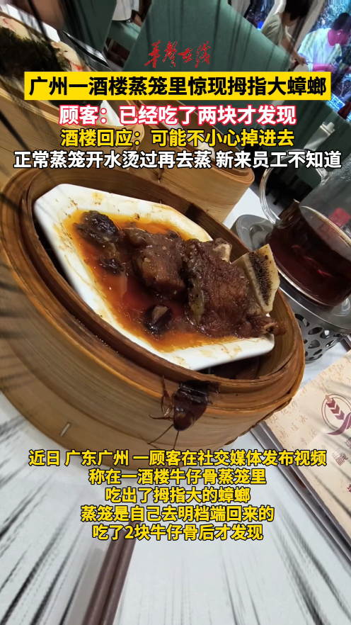 广州一酒楼蒸笼上现拇指大蟑螂