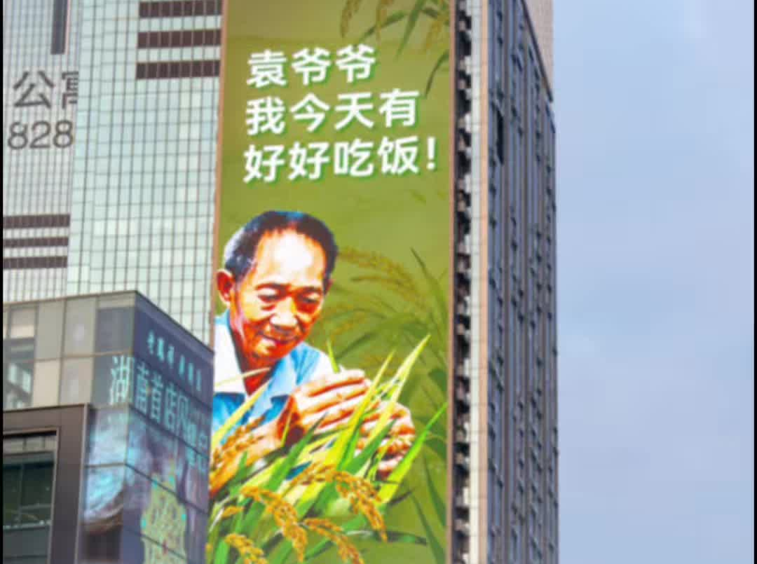 长沙街头“长满”了对袁爷爷的思念