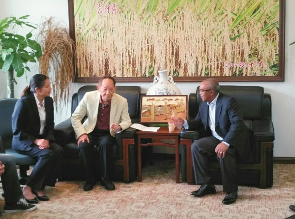 去非洲，去杂交水稻抵达的地方（报告文学）