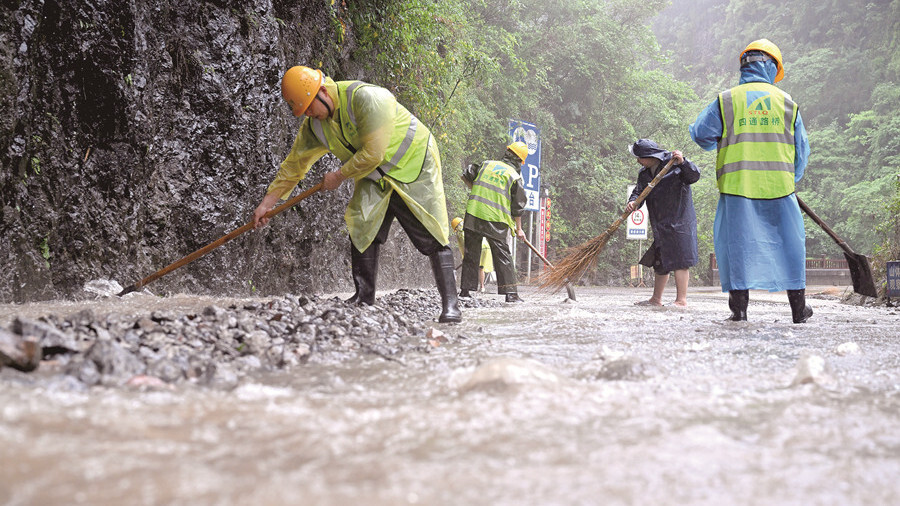 风雨中的守护者