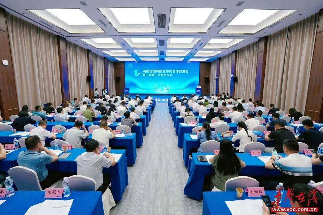 省国资国企协同促进会揭牌 湖南建投集团获任“走出去”专委会主任单位