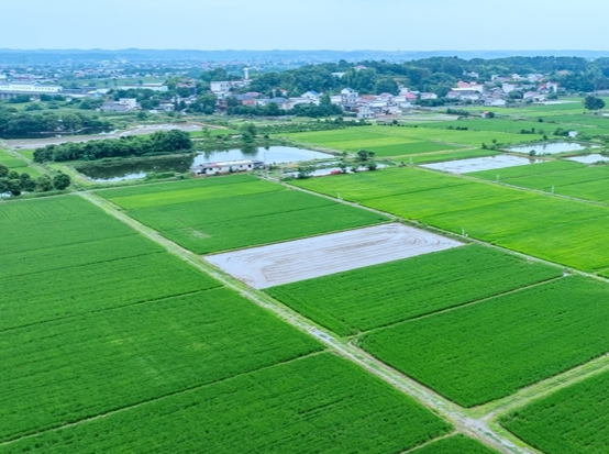 一渠碧水，丰饶湘中