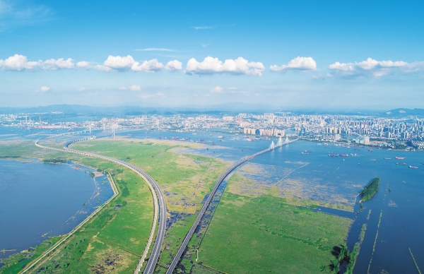 一叶江湖——写在2026年六五环境日“全面绿色转型，共建美丽中国”之际