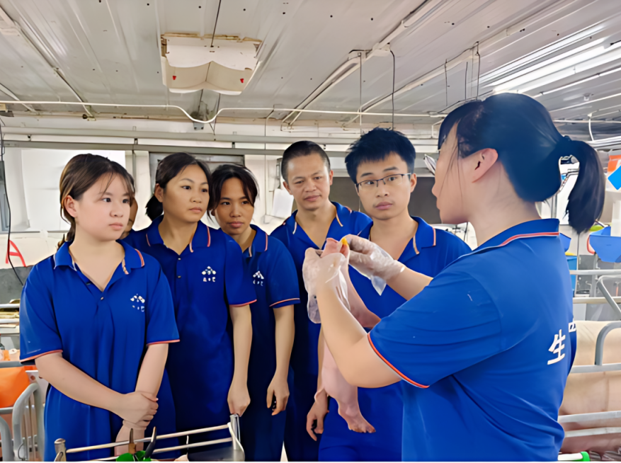 新五丰：高擎红色“丰”向标 领航生猪大产业