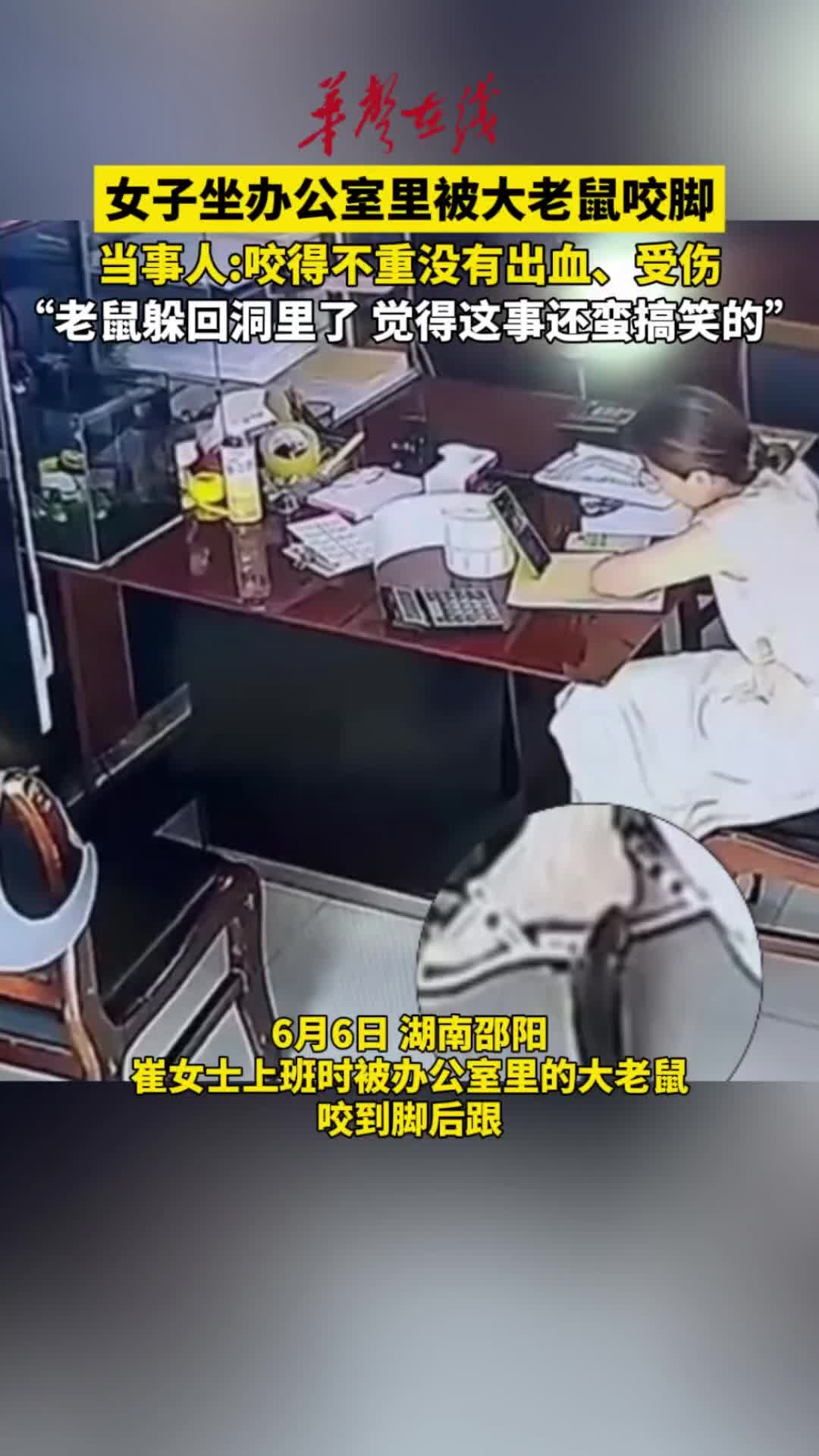湖南邵陽一女子坐辦公室里被大老鼠咬腳后跟