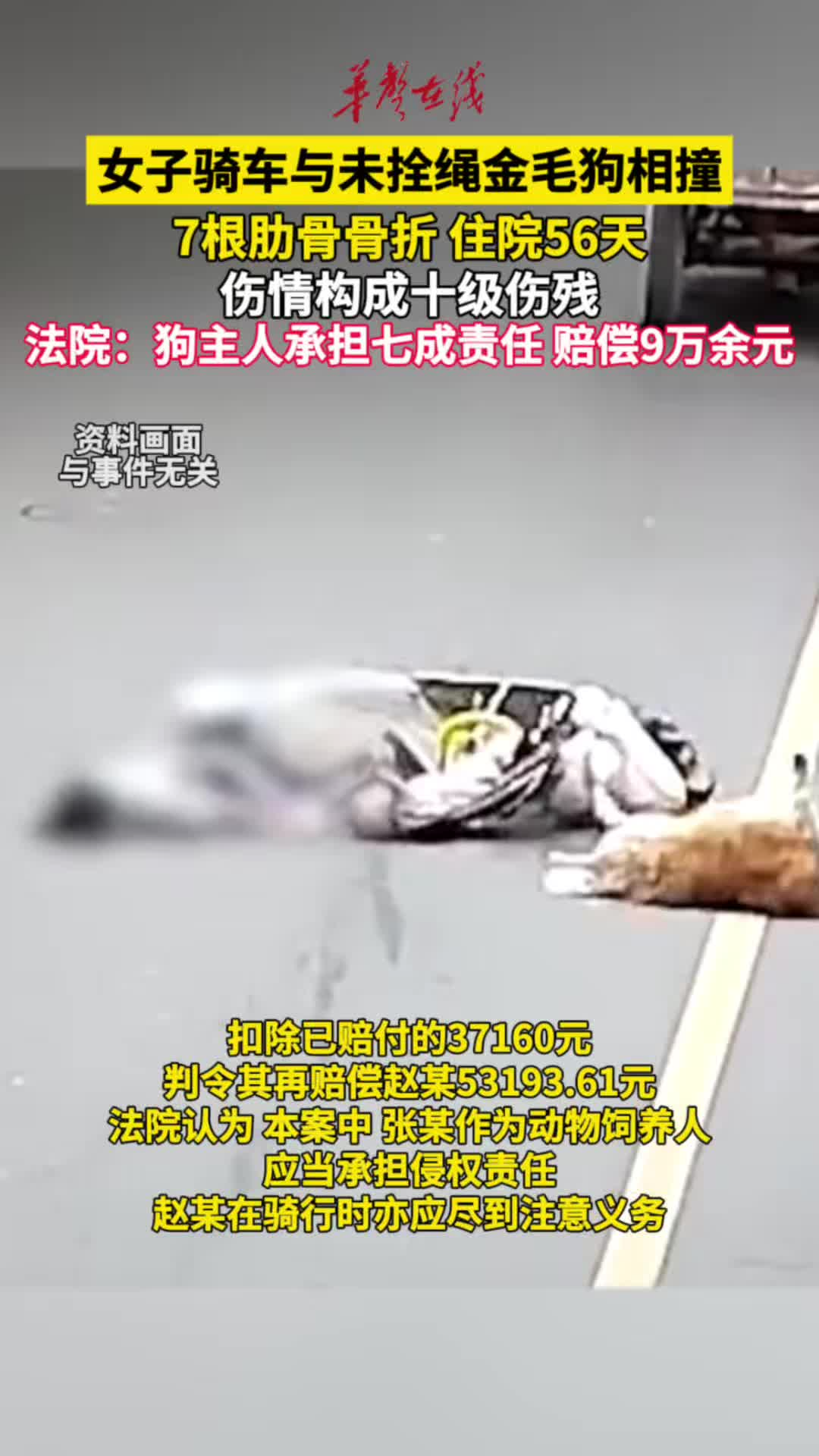 女子骑车与未拴绳金毛狗相撞7根肋骨骨折
