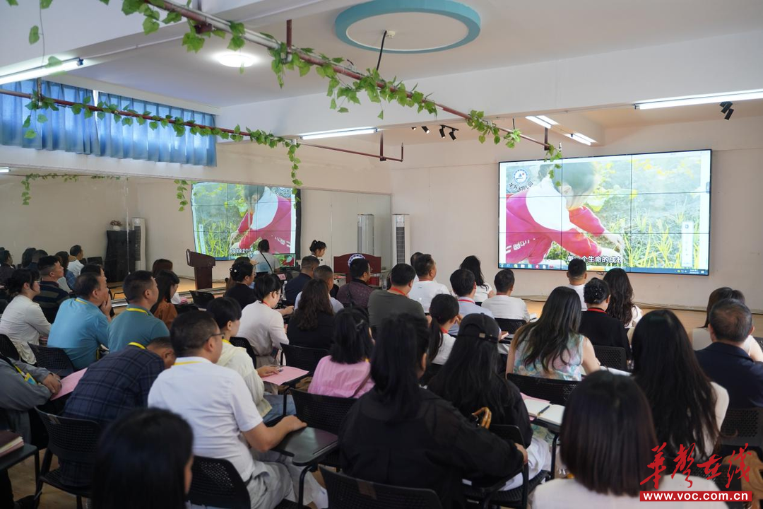麻阳：深耕劳动教育 共研幼教发展