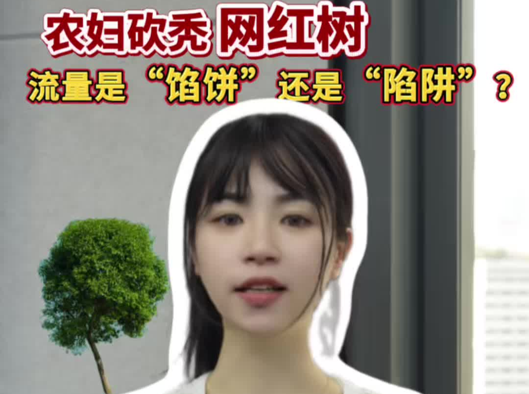 辣点财经|农妇砍秃网红树，流量是“馅饼”还是“陷阱”？