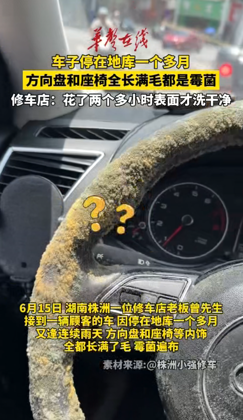 车子停在地库一个多月，方向盘和座椅全都长满了毛