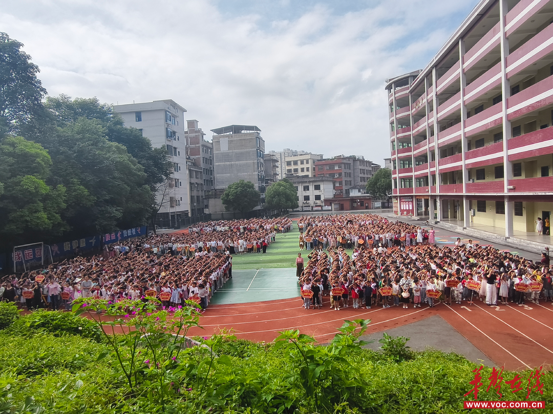 隆回县梨子园实验学校开展“庆七一·我向党旗敬个礼”主题活动