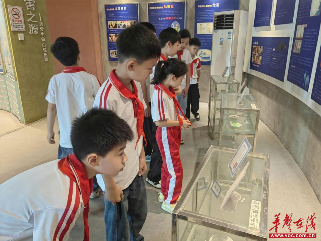 临武五小：禁毒基地里的“震撼一课”