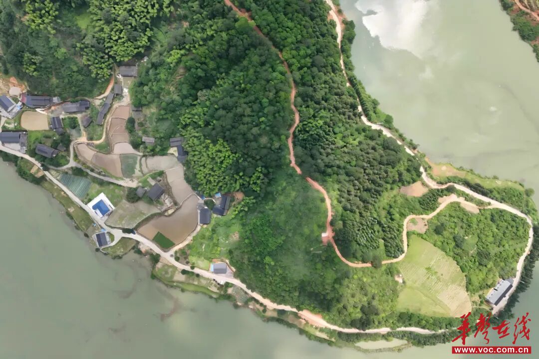 省建科院联手湖南建投六建 中标会同县乡村振兴与林下经济双项目