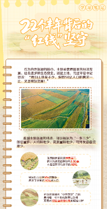 天天学习｜22个丰年背后的&ldquo;红线&rdquo;坚守