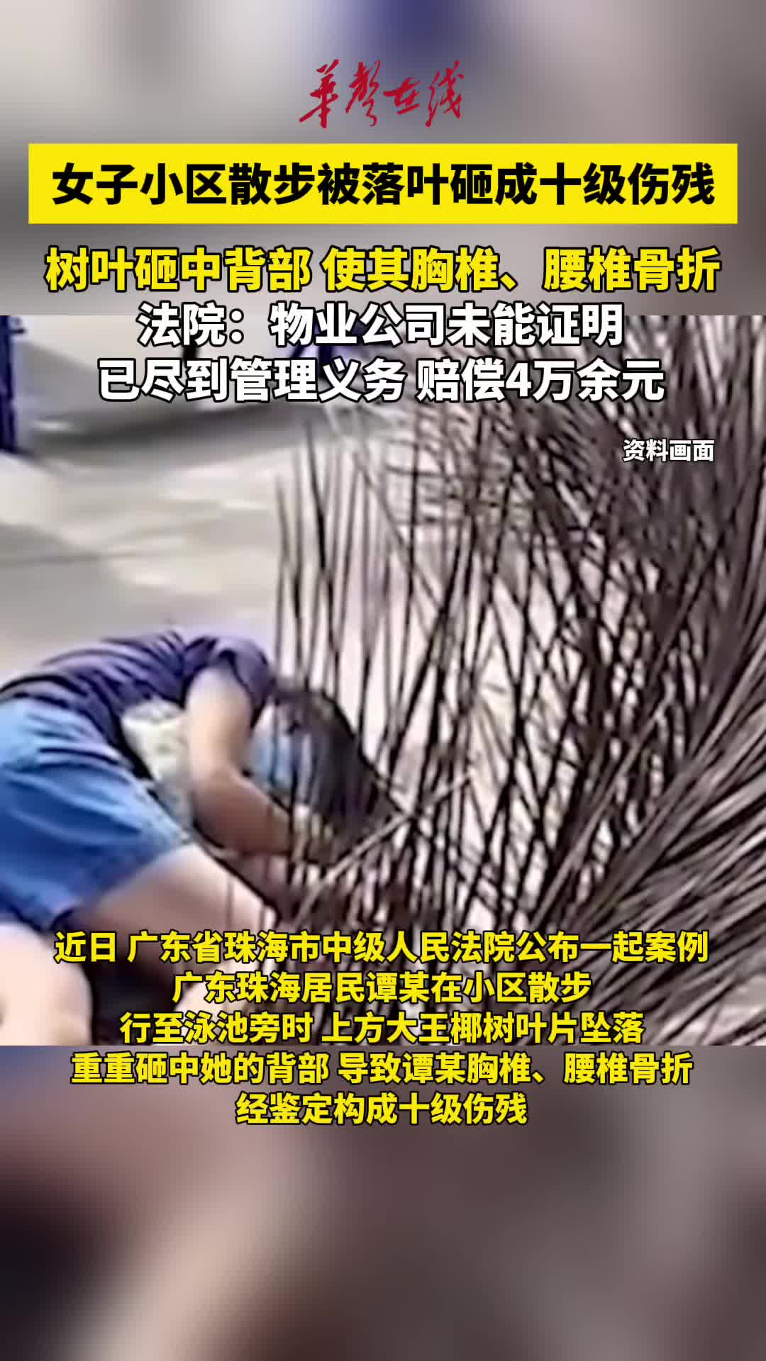 女子小区散步被落叶砸成十级伤残