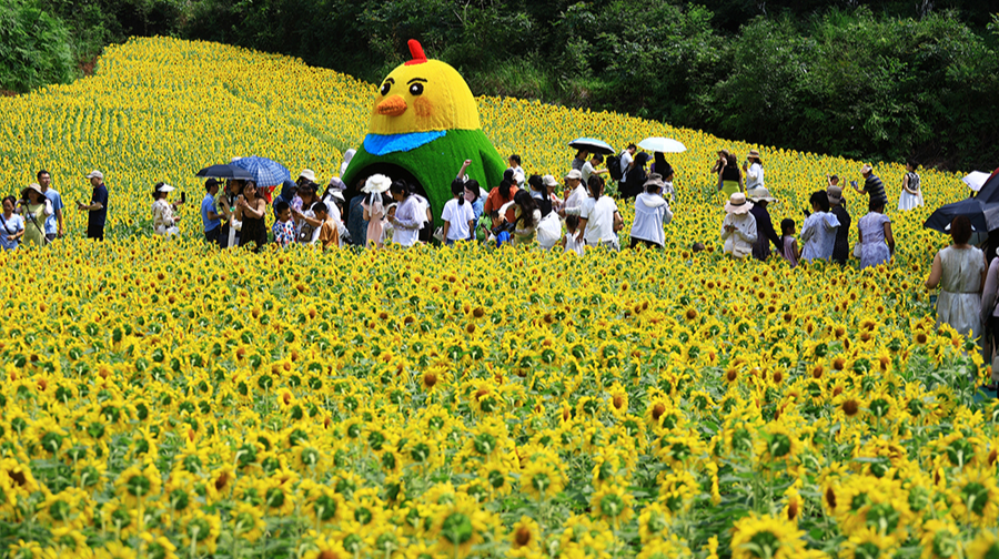 人民公园惠人民