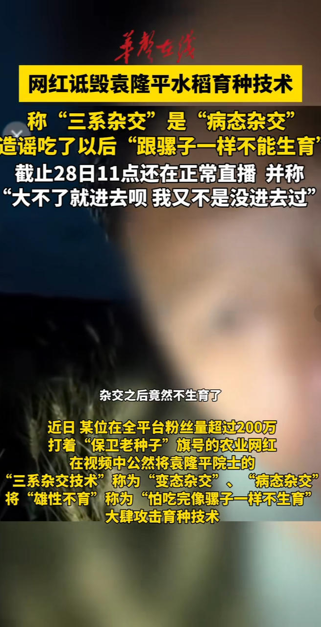 网红诋毁袁隆平水稻育种技术