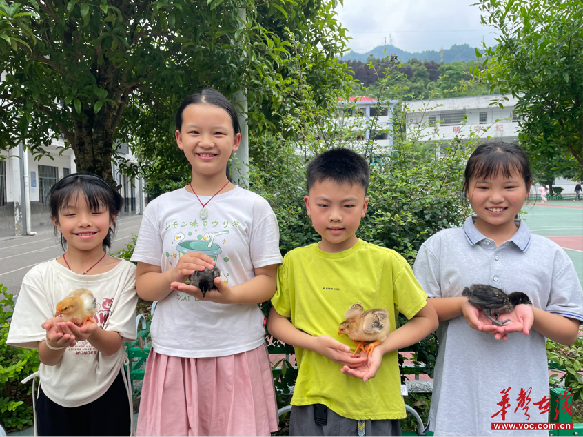 山区课堂里的“活教材” 洞口县月溪镇中心小学教师自费奖励激发求知热情