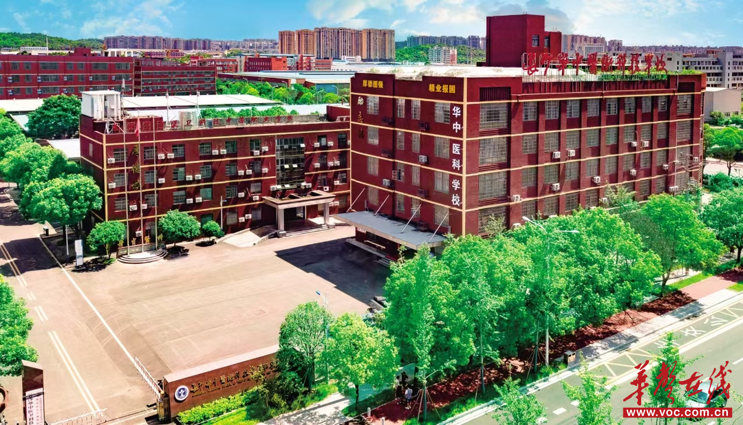 数十名学子超本科线 长沙华中医科学校2026年对口高考再创辉煌