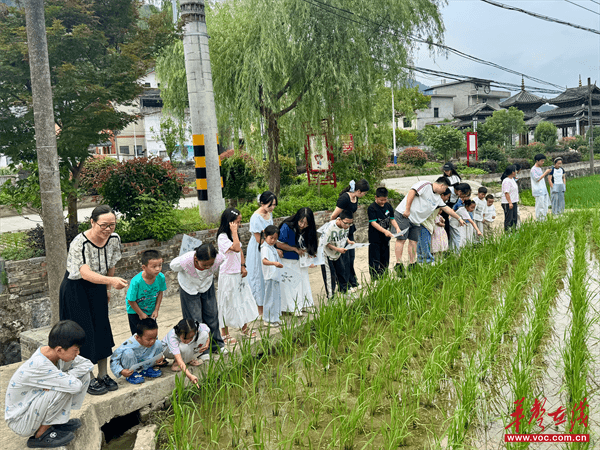 稻花鱼故事里学知识——“花种子微阵地”志愿者送教活动走进柳林村