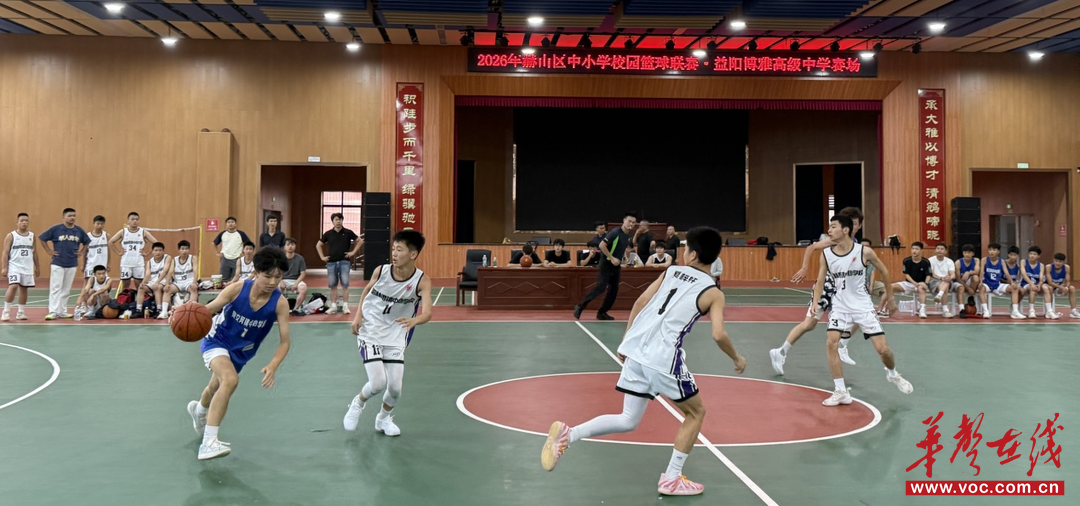 酷夏“篮”不住！益阳市赫山区中小学校“校BA”激情开赛