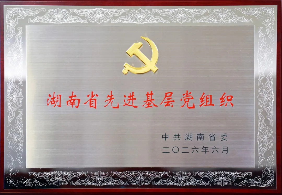 湖南省轨道勘察设计有限公司党支部荣获湖南省“先进基层党组织”称号