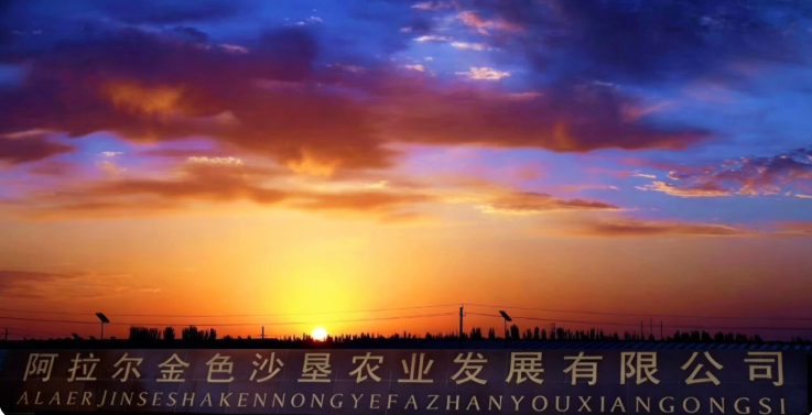 当“羊脂”成了热词，谁才是真正的羊脂籽米 经济资讯 华声经济