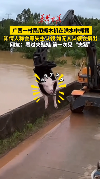 广西一村民开抓木机在洪水中打捞漂流生猪：先等失主，无人认领则捐作救援物资