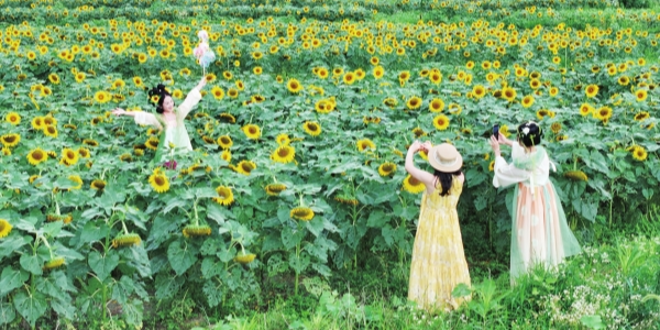 田园风光惹人醉