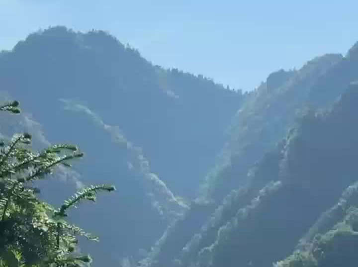 八旬老人被困山崖，消防员用绳索搭建生命通道