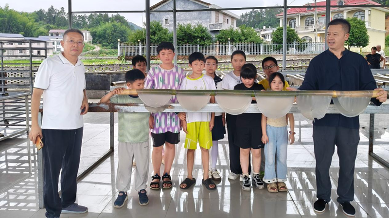 巷子口社区：传承非遗技艺 感受乡土温度