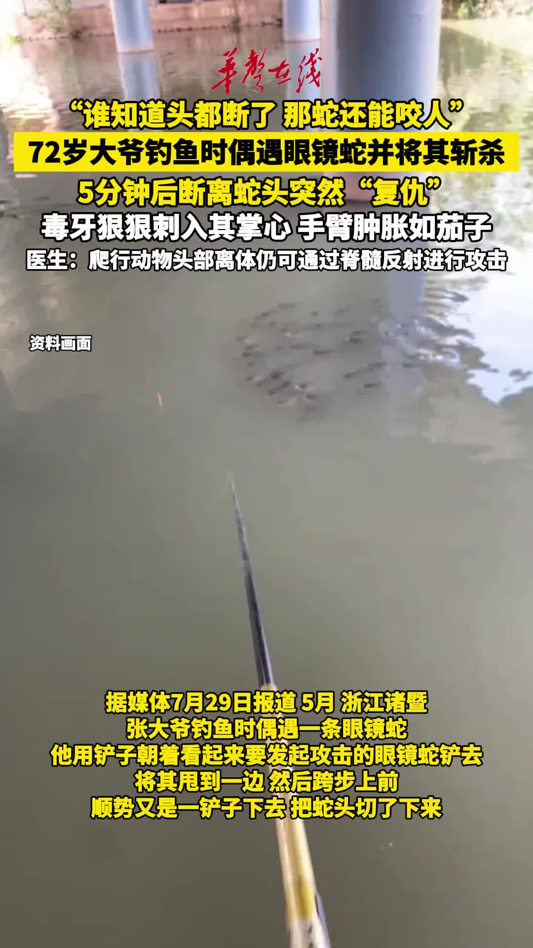 72岁大爷被断离5分钟蛇头突然“复仇”