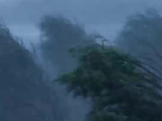 为什么台风会将人从家中“卷”走？如何躲最安全，收好这份指南