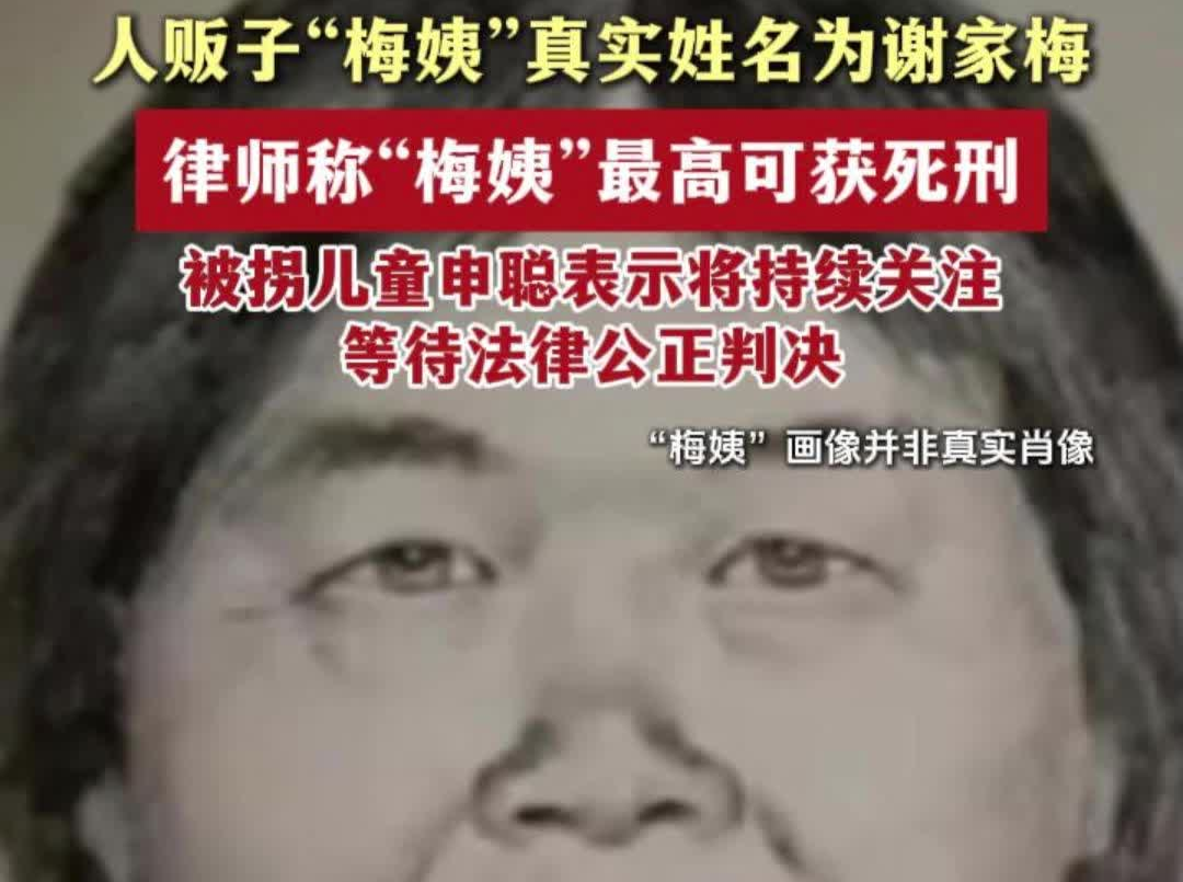 人贩子“梅姨”真实姓名为谢家梅