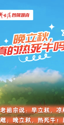 【科普长图】晚立秋，真的热死牛吗？