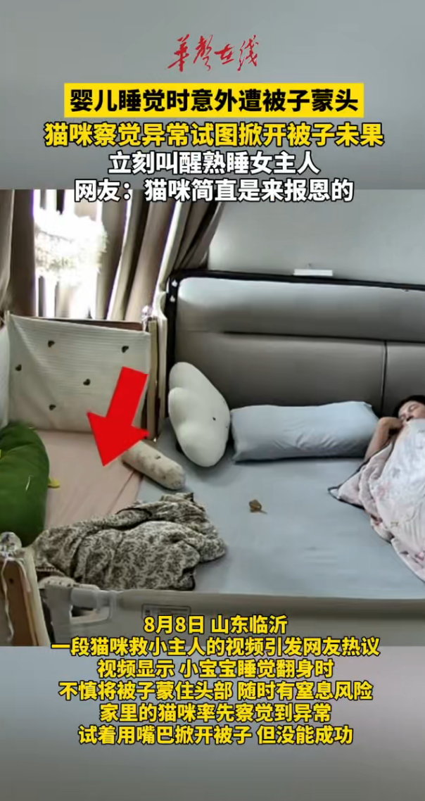 猫咪立大功！婴儿睡觉遭被子蒙头 猫咪唤醒宝妈救下宝宝