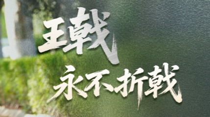 【专题】谁是王戟——他，把轮椅开成了“战车”