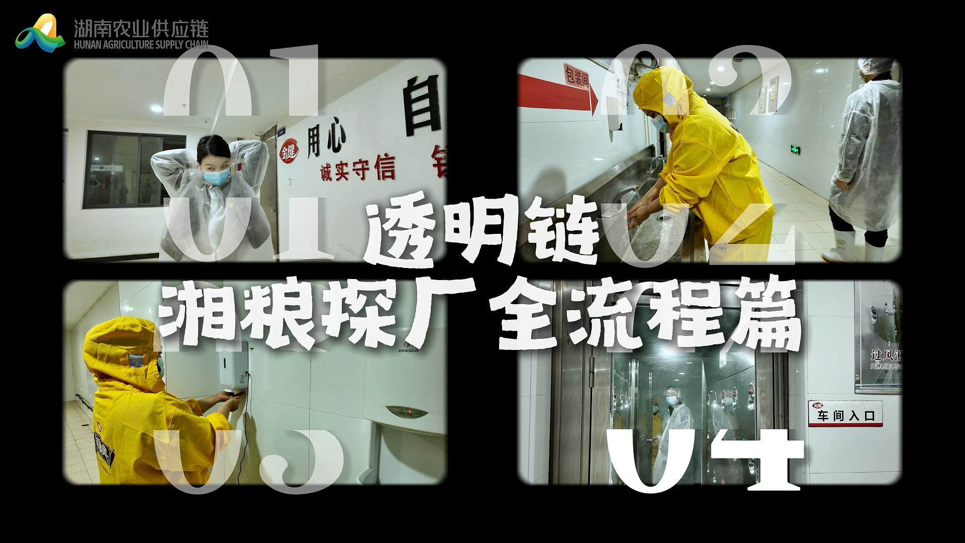 E人勇闯湘粮生产线：一枚速冻水饺的“闯关”之旅